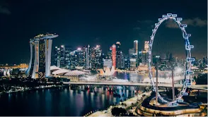  Singapore Flyer 